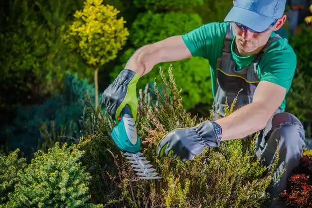 landscaping services Pelahatchie